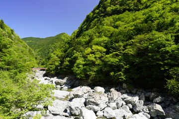 天川村川迫川渓谷の新緑と赤い橋