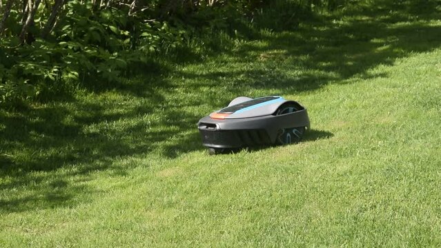 The lawnmower robot mows the grass in the garden