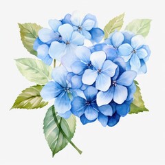 hydrangea watercolor bouquet clipart