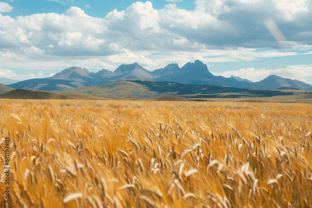 Poster a golden wheat field swaying with mountains in the background, a field of golden wheat swaying in th