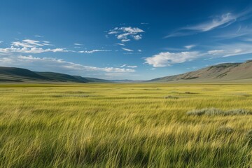 Obraz premium A wide open field with lush grass stretching towards distant mountains in the background, A field of grass stretching as far as the eye can see, creating a peaceful landscape