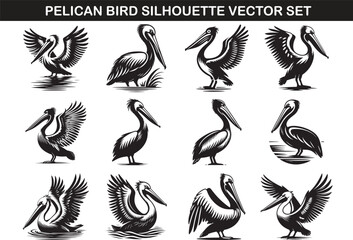 Pelican Bird Silhouette Vector Illustration set
