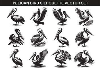 Pelican Bird Silhouette Vector Illustration set