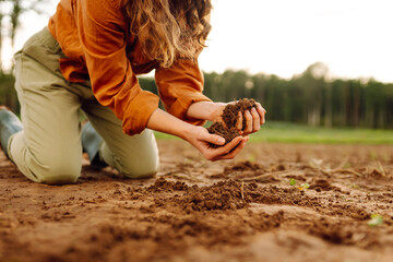 Female hand of farmer checking soil health. Soil, cultivated dirt. Organic gardening, agriculture.