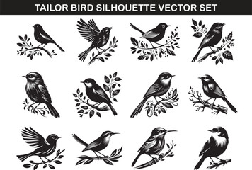 Tailor Bird Silhouette Vector Illustration set