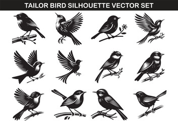 Tailor Bird Silhouette Vector Illustration set