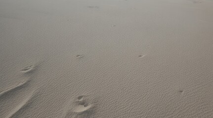White sand texture background