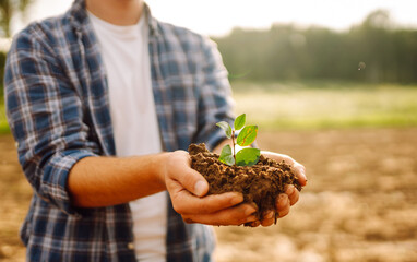 Handful of soil with small green plant, closeup. Farmer checking soil health. New life of young ...