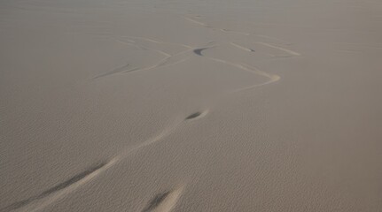 White sand texture background