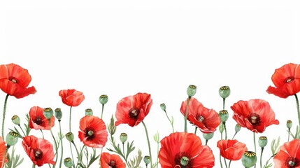 Fototapeta premium Red poppy border with room for text