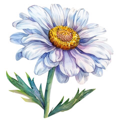 Watercolor Daisy Sunny and Bright Die Cut PNG Style Crisply Isolated on White and Transparent Background