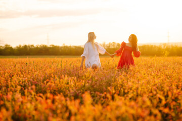 Two Beautiful women in the blooming field at sunset. Nature, vacation, relax and lifestyle. Summer...