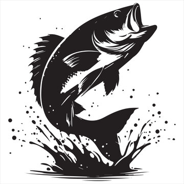 black bass jumping water splash