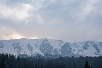 Himalayan mountain covered with snow and alpine trees, India travel and tourism landscape photo