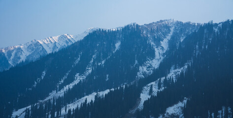 Himalayan mountain landscape scenery, Snow covered mountain with pine trees shot from Kashmir, India travel and tourism background
