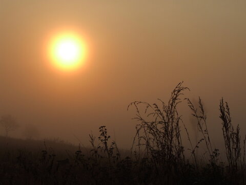 A serene landscape of a foggy field with the sun breaking through the clouds. The golden rays of sunlight illuminate the blades of grass, creating a warm and inviting The fog adds an air o
