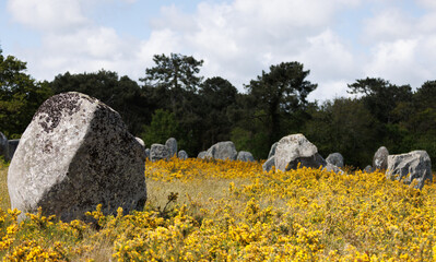 Les alignements de Carnac