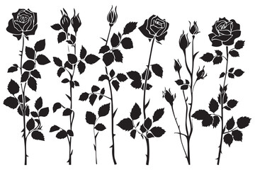 black slhoutte Set of rose with leaves Flower black silhoutte white background