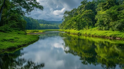 A serene river winding through lush greenery, reflecting the tranquil beauty of nature in its calm waters.