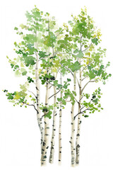 there are three trees that are painted in watercolor on a white background