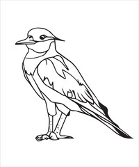 Obraz premium Kite Bird Victor Design