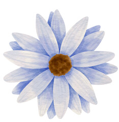Blue flower watercolor painted for Decorative Element