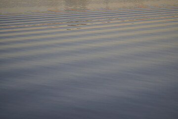 Calm surface of real water on a river. Serene ripples of pure river water, perfect for a water background.