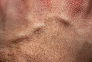 Fototapeta premium Close-up human hand with vein. Details of skin. Male hand texture