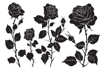 Beautiful rose flowers silhouette set isolated on white background