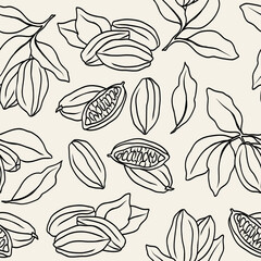 Line art cacao background. Hand drawn cocoa beans