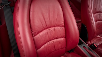 Passenger seat back
