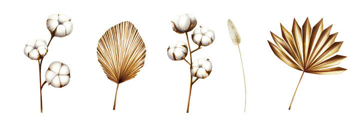 Realistic set with dried branch, pampas grass, cotton flowers. Watercolor hand drawn boho plants...