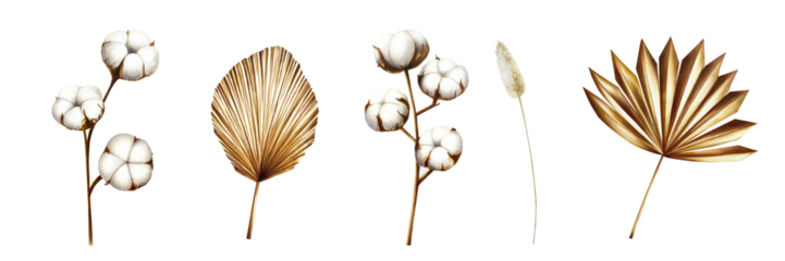Realistic set with dried branch, pampas grass, cotton flowers. Watercolor hand drawn boho plants isolated on background. Christmas, winter, and wedding illustration. For designers, invitations, d