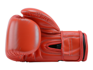 Red Leather Boxing Gloves
