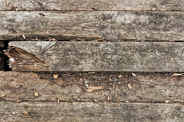 Texture of old wood. Dirty wooden boards. One board is broken. Wooden wall, floor, door. Abstract...