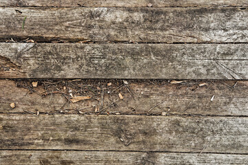 Texture of old wood. Three dirty wooden horizontal boards. Wooden wall, floor, door. Abstract...