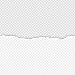 Torn Paper on Transparent Background