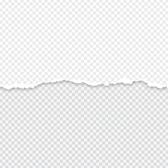 Torn Paper on Transparent Background