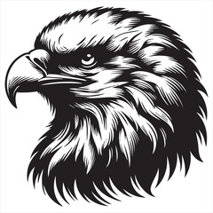 A realistic eagle's head in black and white silhouette on white background