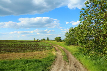 A dirt road through a field