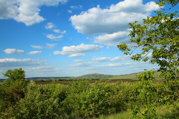 A landscape with trees and hills in the background