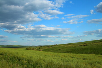 A grassy field with blue sky and clouds