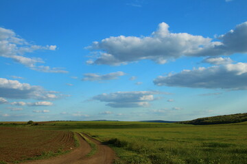 A dirt road through a field