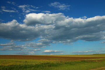 Obraz premium A field with clouds in the sky