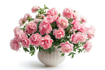 Fresh peony roses flowers in vase on white background
