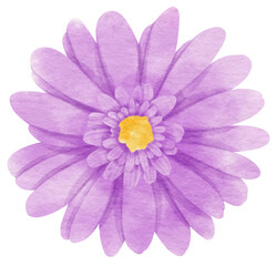 Purple flower watercolor painted for Decorative Element