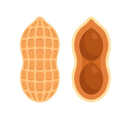  Pair of Peanuts. Flat icon isolated on white background. Superfood and vegan protein source concept. Great for use in nutritional guides and health food packaging