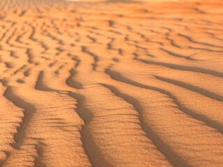 sand dunes in the desert