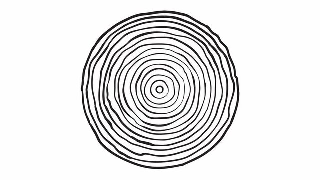 Cross section of the tree with age rings motion graphic animation. Cross section cut or saw cut tree trunk with texture pattern and age ring lines rotation, digital drawing.
