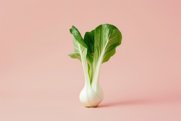 Detailed view of a green leafy plant set against a vibrant pink backdrop, A minimalist design featuring bok choy as the focal point